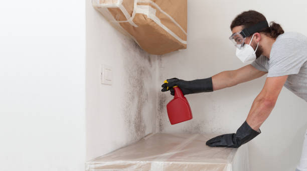 Professional Crawl Space Mold Remediation technician working in Franklin Square, NY